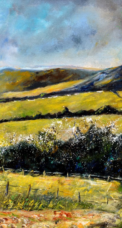 my  countryside   in spring - 97 - Bois Jacques by Pol Henry Ledent