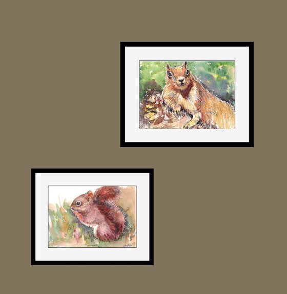 Set of Nutty Squirrels