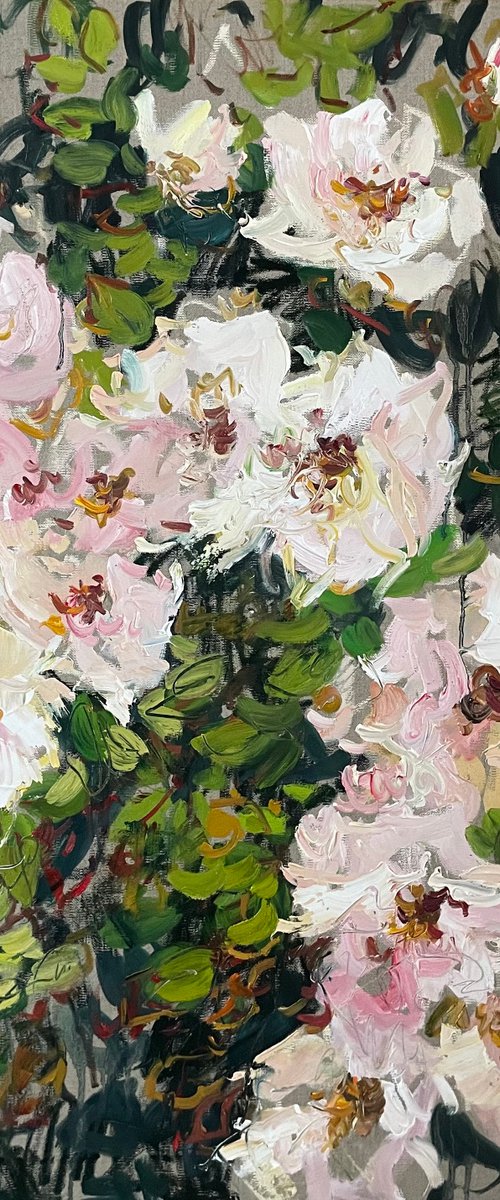 Summer roses. by Lilia Orlova-Holmes