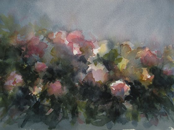 Roses on the wall - watercolor on paper - 26X36 cm