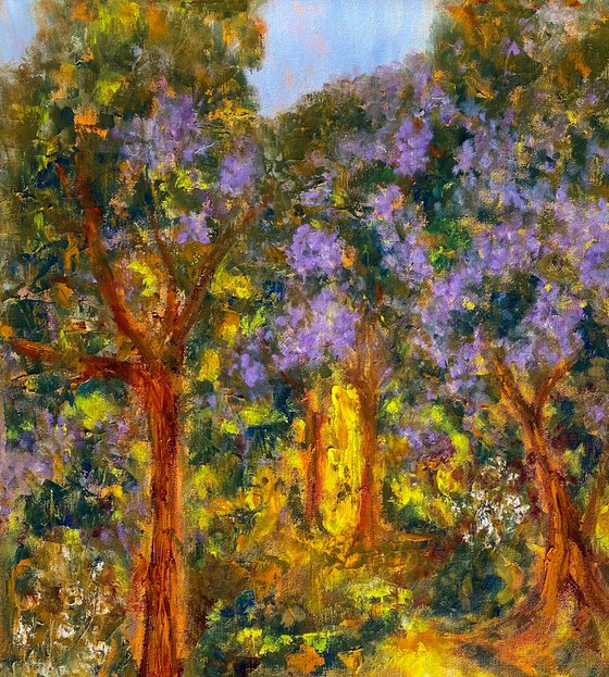 Jacaranda Path