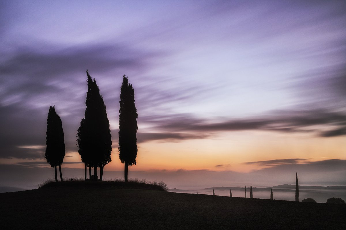 Impressionistic Landscape Photograph By Karim Carella, 37 X 26", Tuscan Cypress Trees Circle, Original Artwork