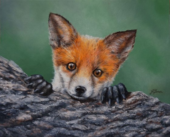 Peeping Fox