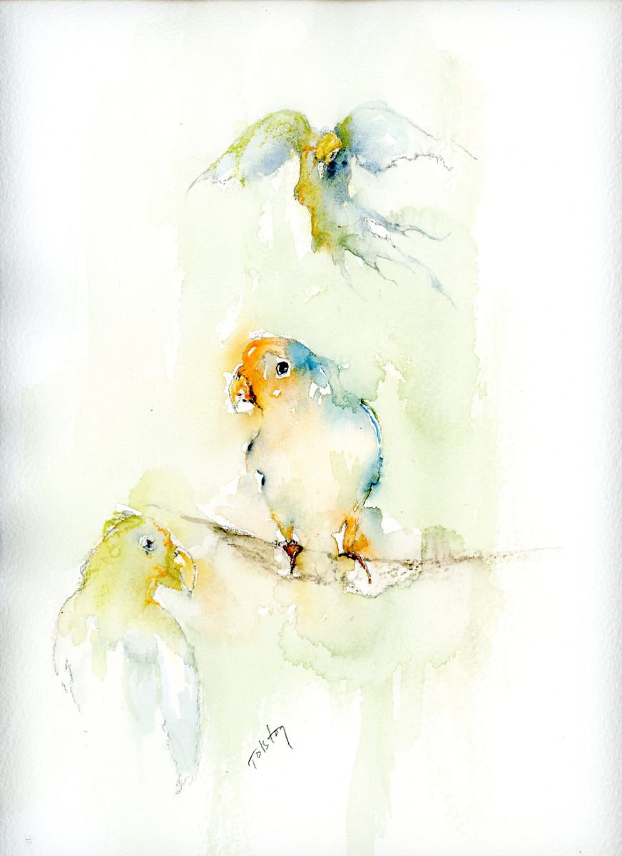Impressionistic Animal Watercolour By Alex Tolstoy, 9 X 12, Three Parrots, Original Artwork
