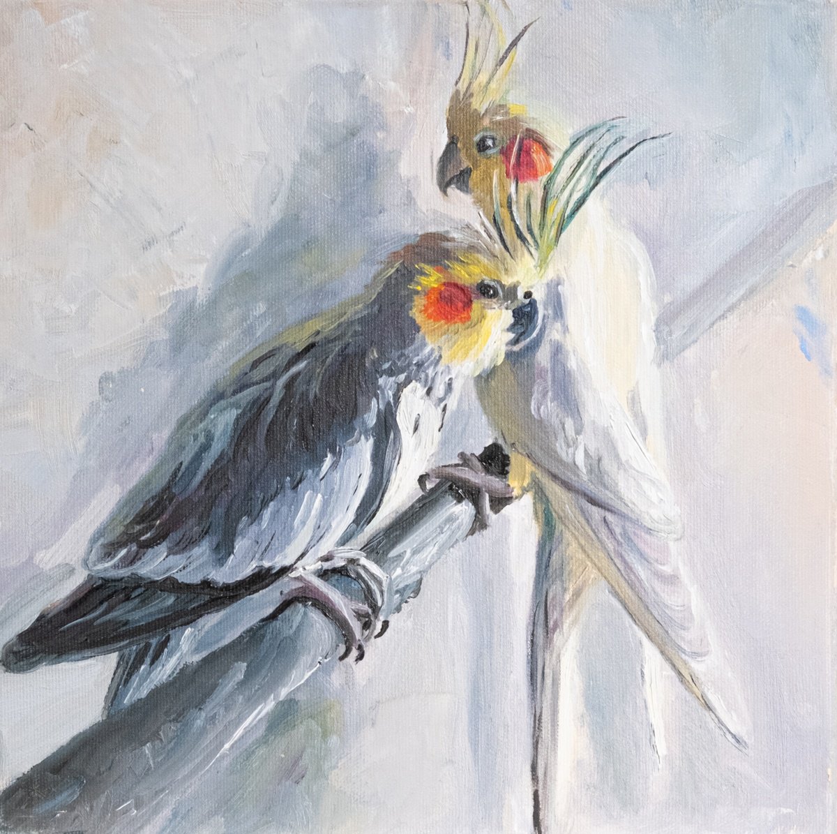 Parrots by Catherine Varadi