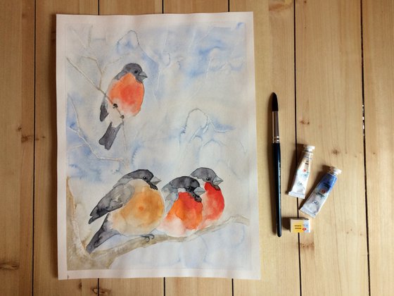 Bullfinches