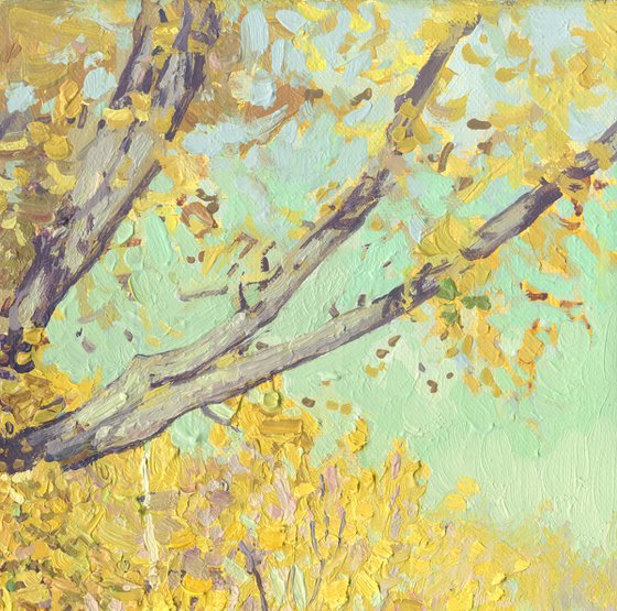 Oak tree in Tsaritsyno in October