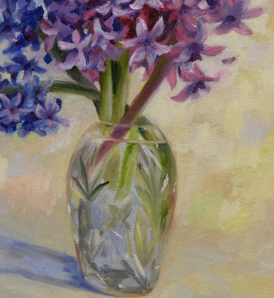 Blue and Pink Hyacinths