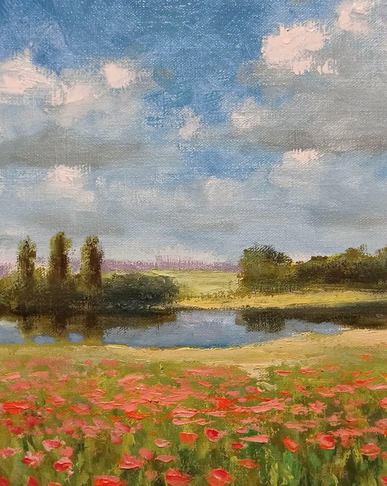 Summer impression. Poppies