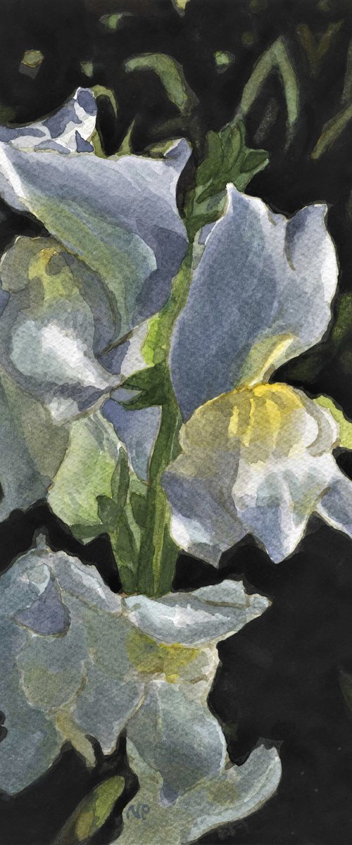 WHITE FLOWERS III by Nives Palmić