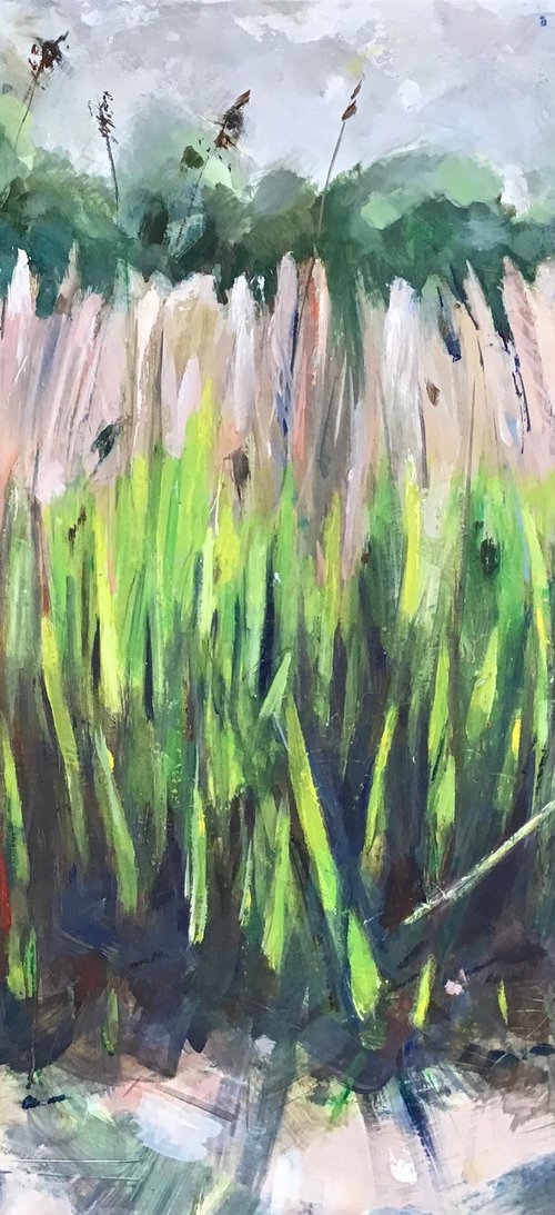 Reeds by Sandra Haney