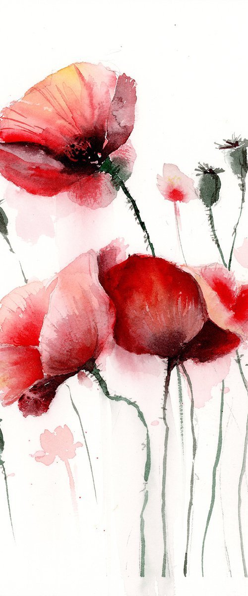 Watercolor poppy bouquet by Olga Koelsch