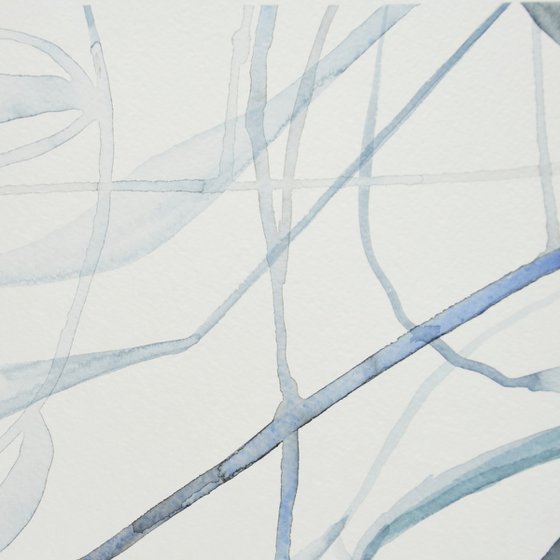 AQUATIC VEIL I (St James’s Park series)