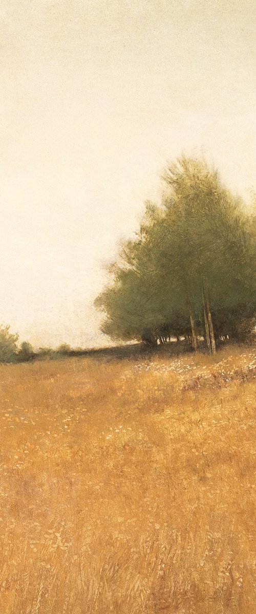 Hillside Trees 250314 by Don Bishop