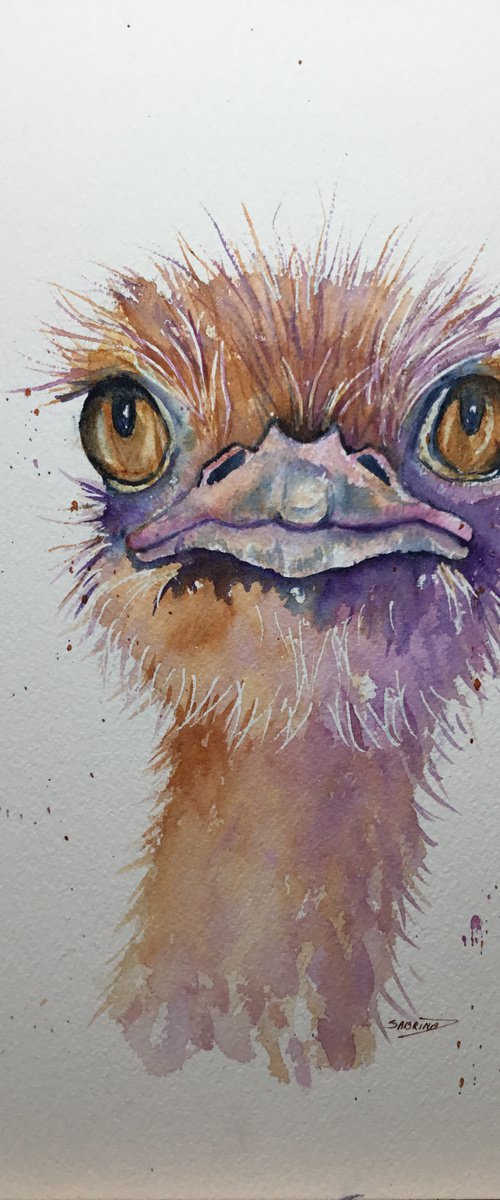 Ostrich #1 by Sabrina’s Art