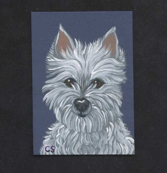 ACEO ATC Original Miniature Painting White Westie Terrier Pet Dog Art-Carla Smale