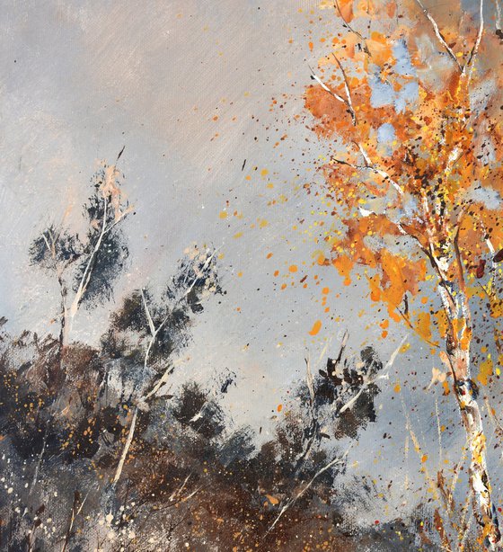 Aspen trees in autumn