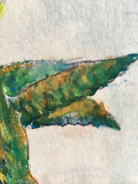 Study of Hummingbird I