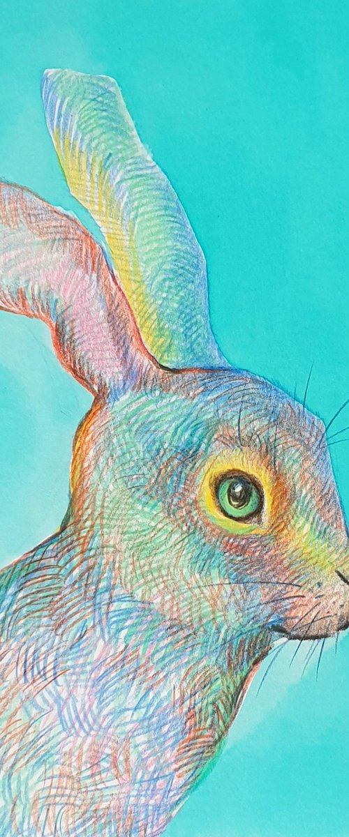 Hare portrait..Easter bunny? by Ksenia June