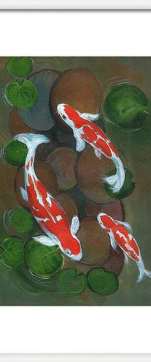 Koi fish in water lily pond by Asha Shenoy