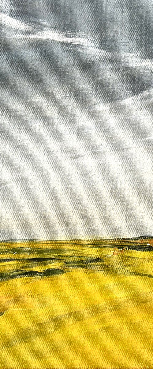 Summer Fields by Arti Chauhan