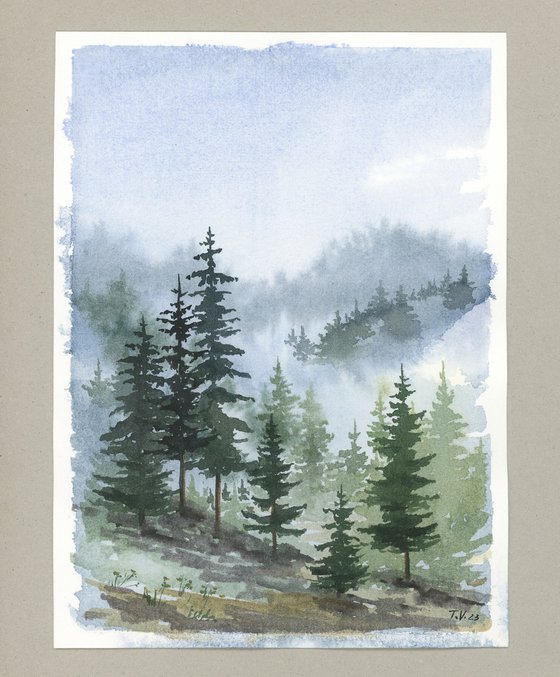 Foggy Forest.