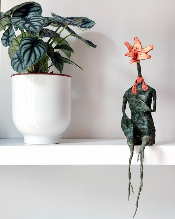 Lilium