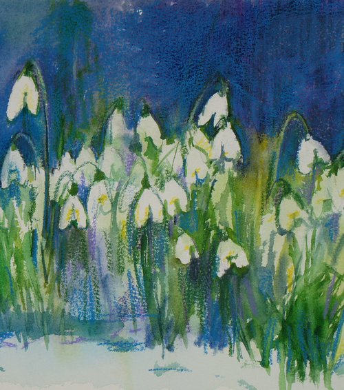 Snowdrops by Elena Sanina