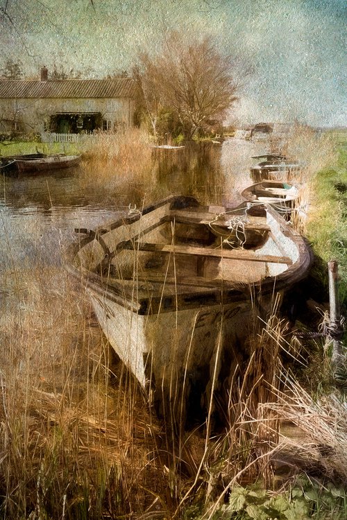The Rowing Boat by Martin  Fry