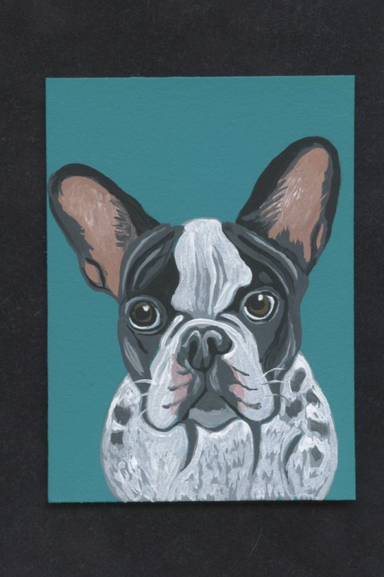 ACEO ATC Original Miniature Painting Pied French Bulldog Pet Dog Art-Carla Smale