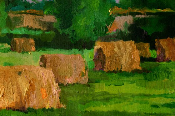 A Cat Among the Hay Bales