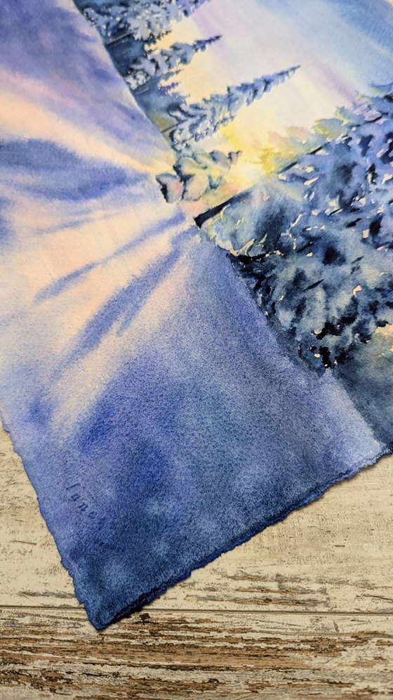 Winter Forest in Gentle Sunlight