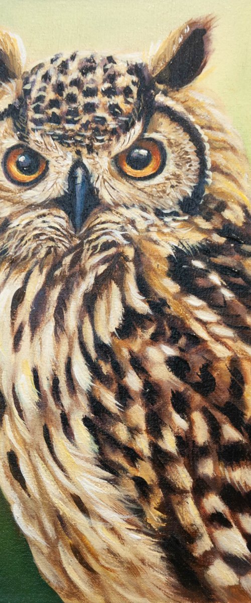 "Eyes of Fire" — Eurasian Eagle-Owl Portrait by Norma Beatriz Zaro