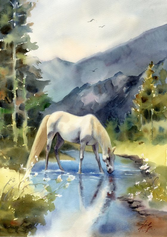 White Horse / Mountain Stream