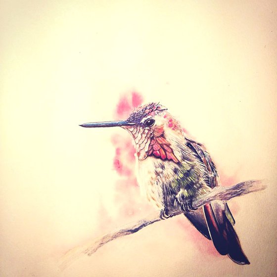 Hummingbird