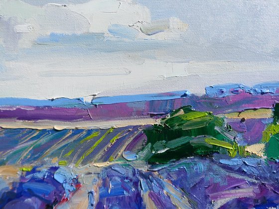 "  lavender "