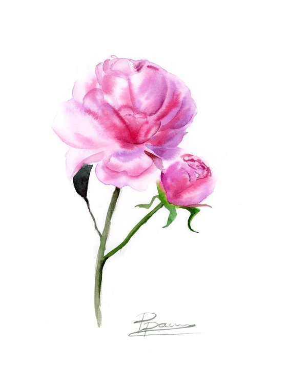 Pink Peony