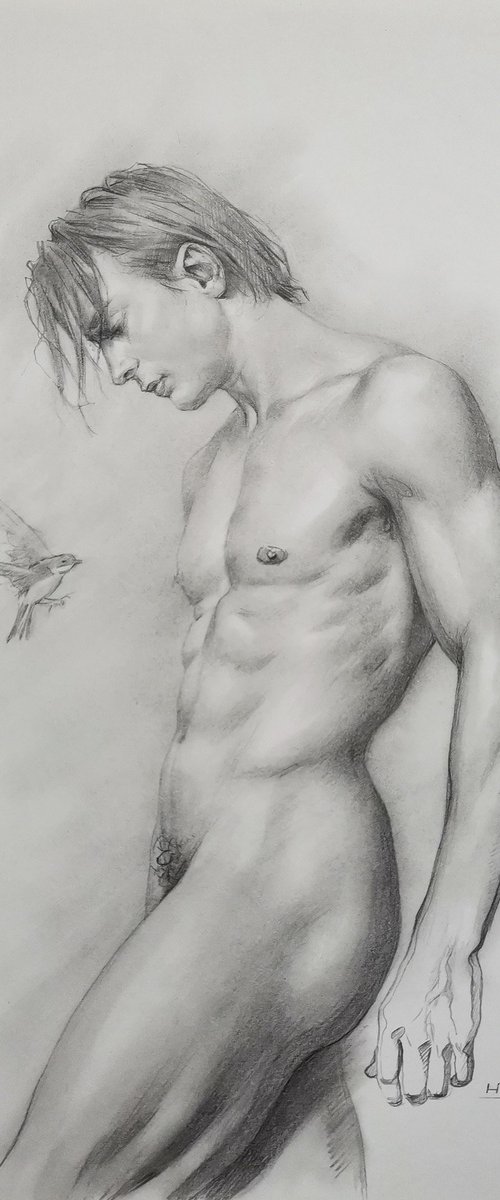 Bird by Hongtao Huang