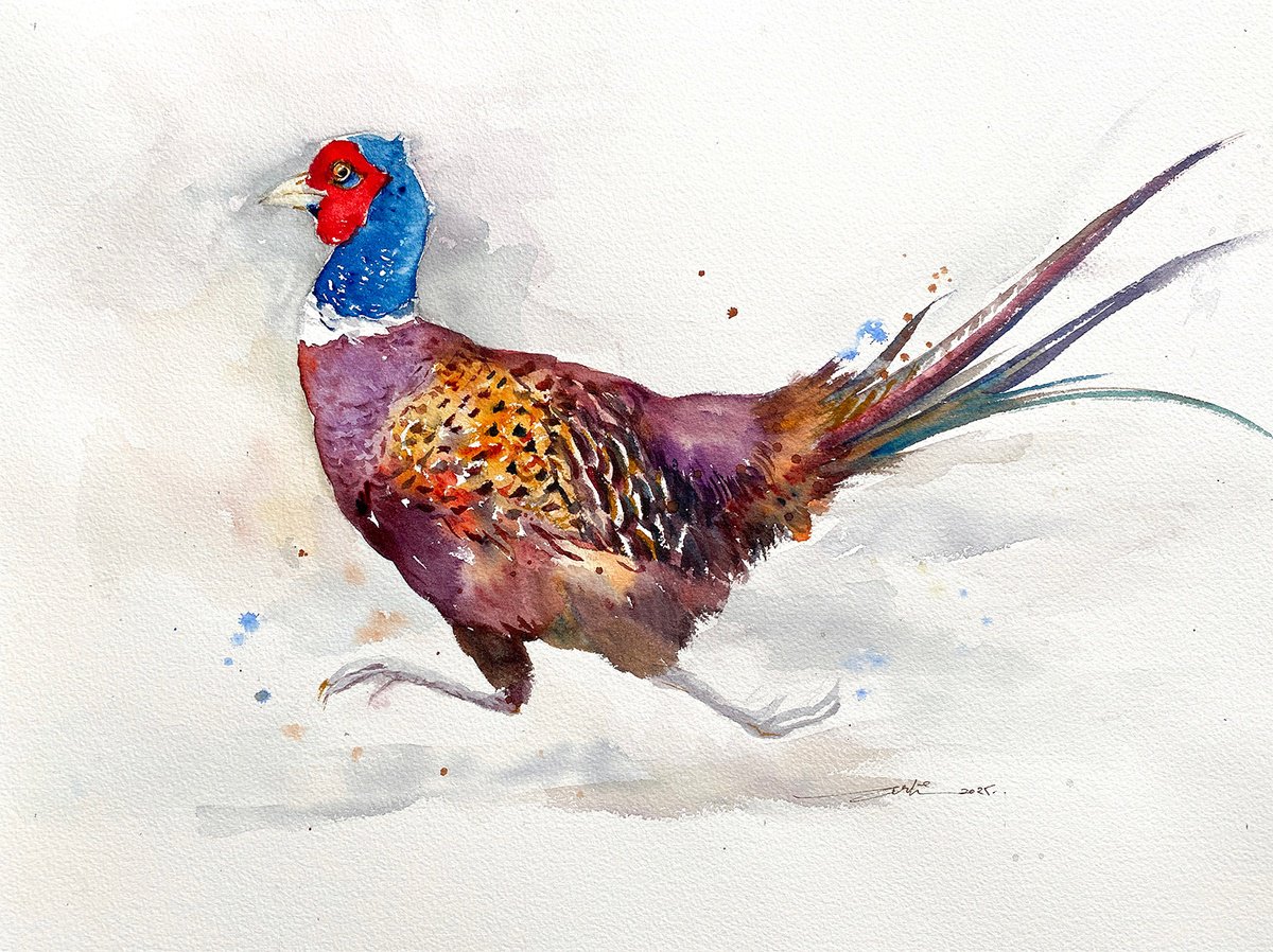 Impressionistic Animal Watercolour By Arti Chauhan, 18 X 14, Rustle And Run_Pheasant, Original Artwork
