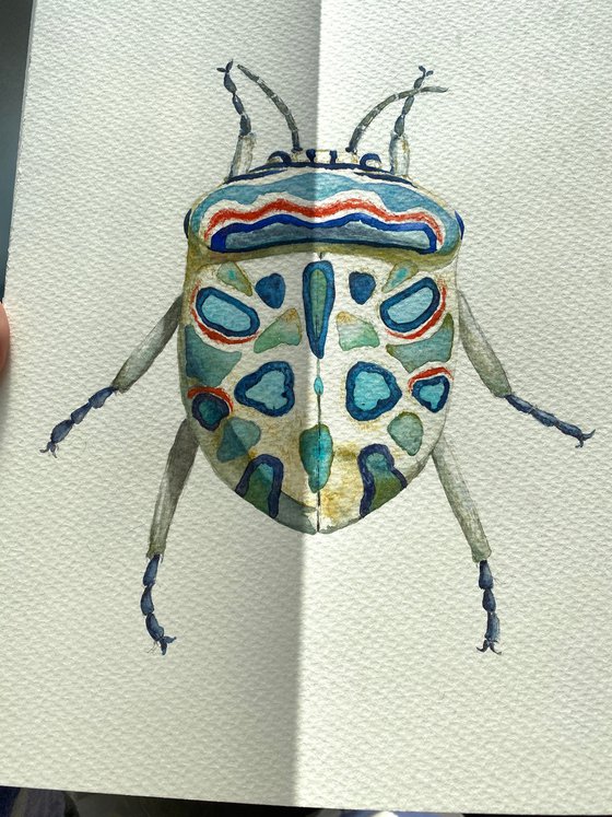 Picasso beetle in the sun's rays like a living canvas demonstrates nature's creativity in bright colour