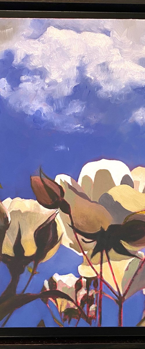 Catching The Light by Lisa Timmerman