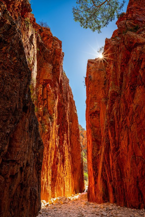 Standley Chasm by Nick Psomiadis