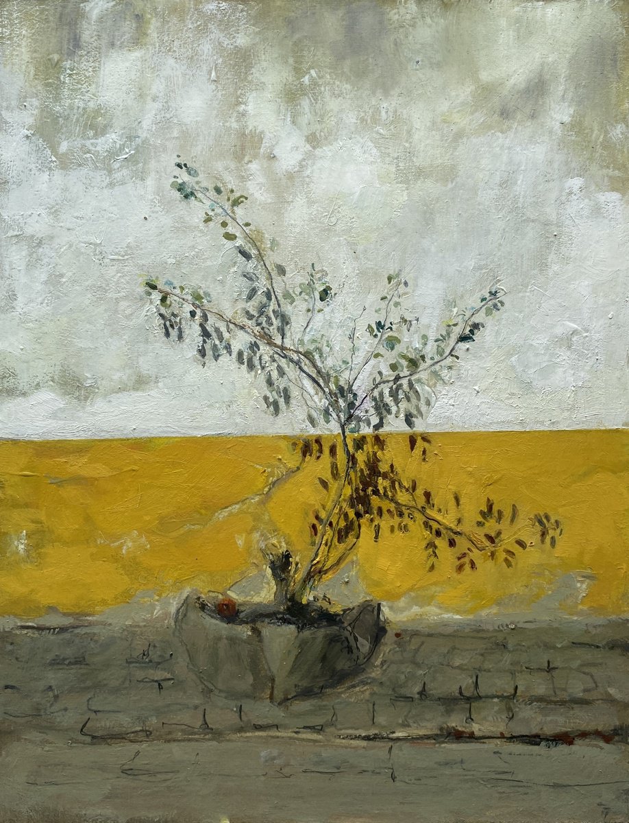 Impressionistic Botanical Oil Painting By Mario Sanchez, 9 X 12", Plant´s Shadows, Original Artwork