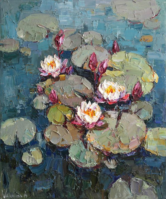 White Water Lilies