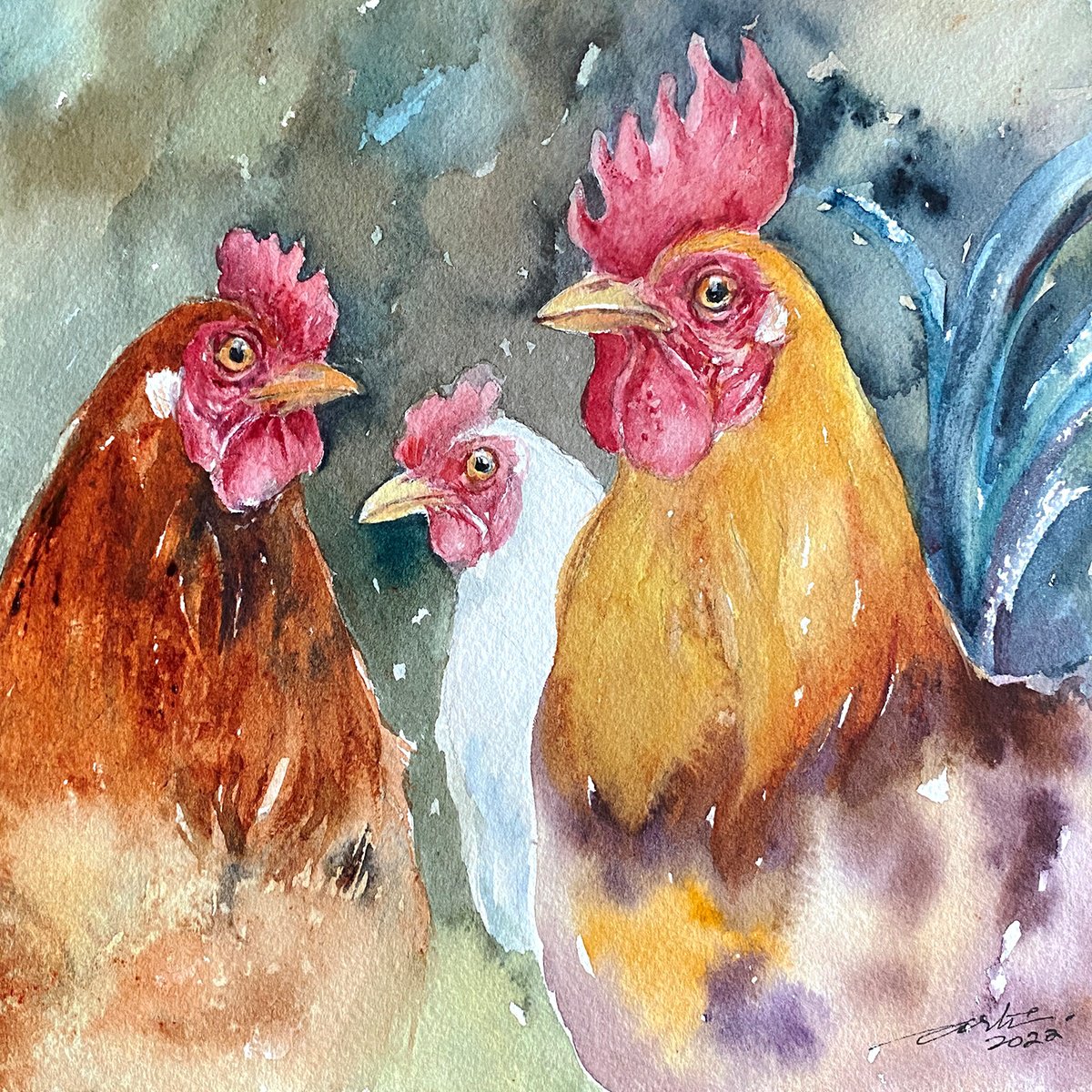 The pecking Order_ Roosters by Arti Chauhan