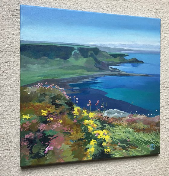 Spring Flowers On The Antrim Coast