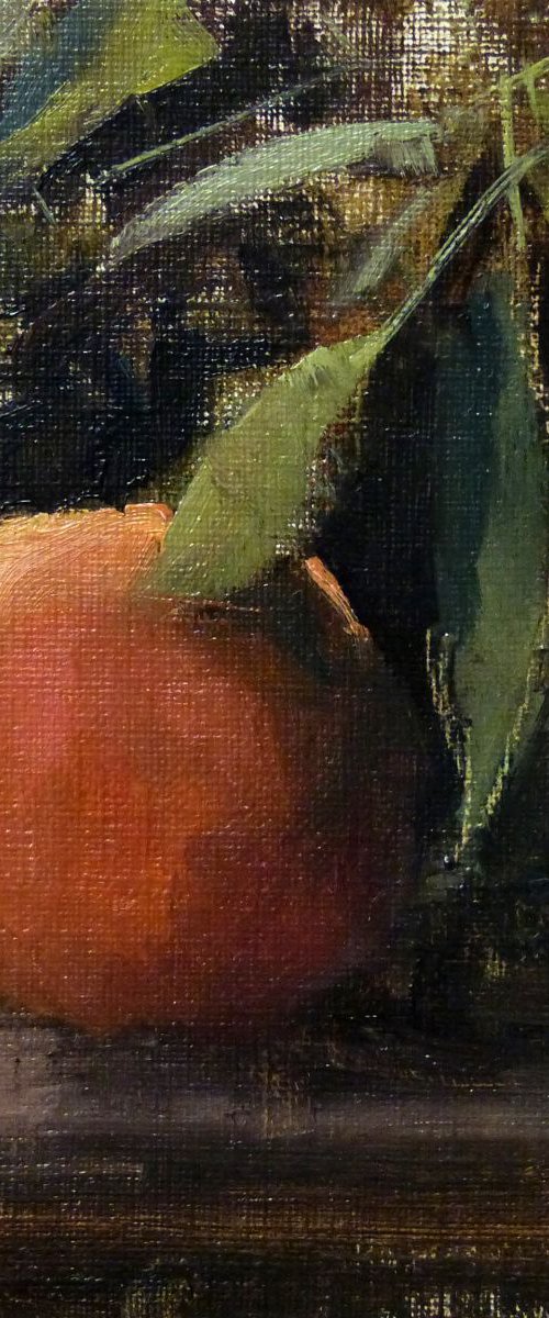 Apricot by Pascal Giroud