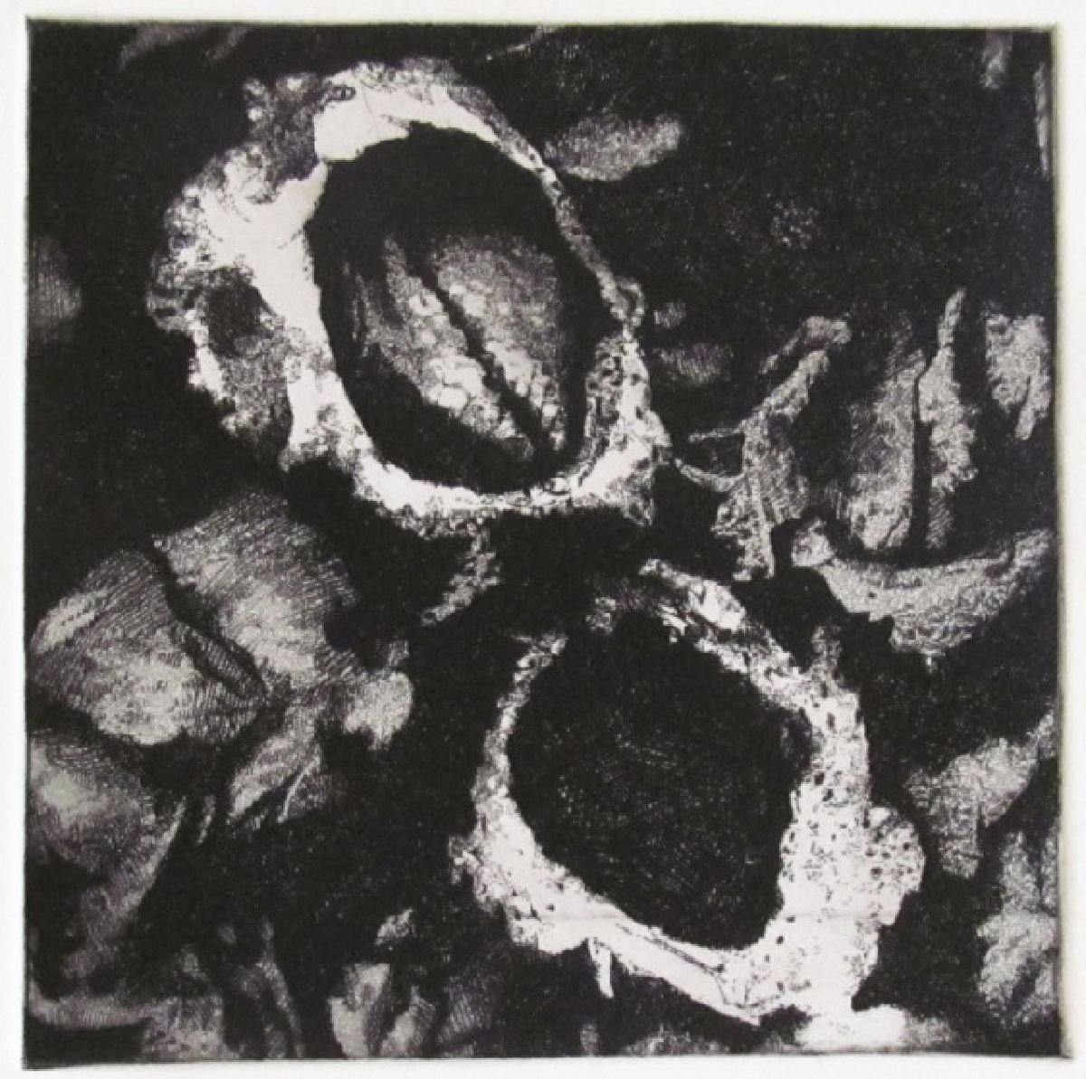 Surrealistic Botanical Etchings & Engravings By Kristina Vatova, 8 X 9", "Zoom Ii", Original Artwork