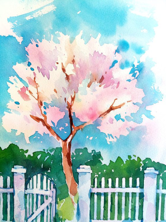 Bright landscape "Spring. Blooming apricot tree behind a white garden fence" original watercolor painting