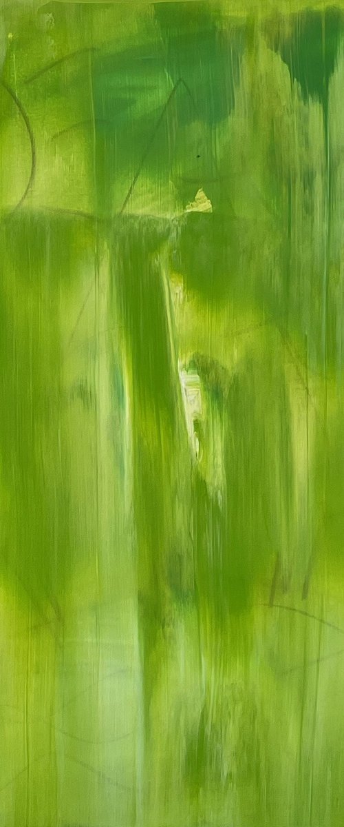 PEACE OF MIND 44 by GORAZD BRAČUN